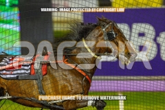 2026_PACEPIX_GP06102026_Race5_Cordero_WIN_WEB-8