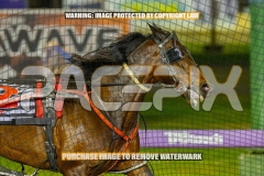 2026_PACEPIX_GP06102026_Race5_Cordero_WIN_WEB-9