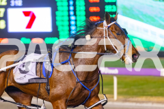 2025_Pacepix_GP26092025_Race5_DMac_WIN_WEB-12