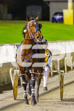 2025_Pacepix_GP26092025_Race5_DMac_WIN_WEB-14
