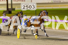 2025_Pacepix_GP26092025_Race5_DMac_WIN_WEB-19