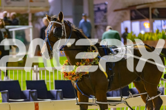 2025_Pacepix_GP26092025_Race5_DMac_WIN_WEB-28