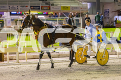 2025_Pacepix_GP26092025_Race5_DMac_WIN_WEB-29
