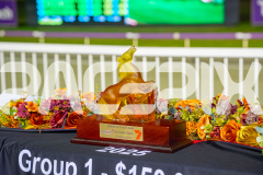2025_Pacepix_GP26092025_Race5_DMac_WIN_WEB-37