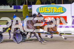 2025_PACEPIX_GP29112025_Race5_Damour_WIN_WEB-14