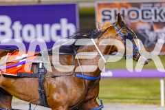 2025_PACEPIX_GP29112025_Race5_Damour_WIN_WEB-17