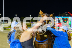 2025_PACEPIX_GP29112025_Race5_Damour_WIN_WEB-18