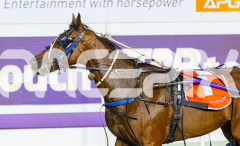 2025_PACEPIX_GP29112025_Race5_Damour_WIN_WEB-21