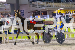 2025_PACEPIX_GP29112025_Race5_Damour_WIN_WEB-29