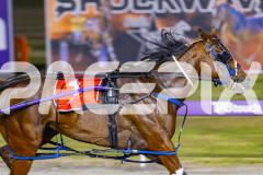 2025_PACEPIX_GP29112025_Race5_Damour_WIN_WEB-3