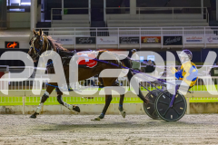 2025_PACEPIX_GP29112025_Race5_Damour_WIN_WEB-32