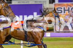 2025_PACEPIX_GP29112025_Race5_Damour_WIN_WEB-7