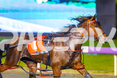 2025_PACEPIX_GP05082025_RACE5_DatLovley_WIN_WEB-10