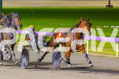 2025_PACEPIX_GP05082025_RACE5_DatLovley_WIN_WEB-13