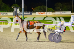 2025_PACEPIX_GP05082025_RACE5_DatLovley_WIN_WEB-21