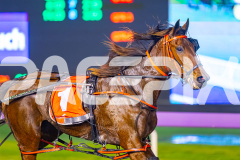 2025_PACEPIX_GP05082025_RACE5_DatLovley_WIN_WEB-4