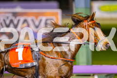 2025_PACEPIX_GP05082025_RACE5_DatLovley_WIN_WEB-5