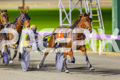 2025_PACEPIX_GP05082025_RACE5_DatLovley_WIN_WEB-7