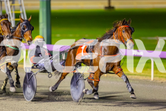 2025_PACEPIX_GP05082025_RACE5_DatLovley_WIN_WEB-8
