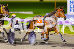 2025_PACEPIX_GP05082025_RACE5_DatLovley_WIN_WEB-9