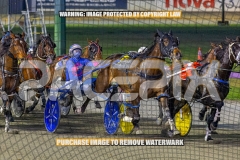 RACE 5 - Delulu