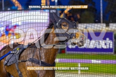 2026_PACEPIX_GP13102026_RACE5_Delulu_WIN_WEB-12