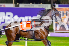 2026_PACEPIX_GP21042026_RACE5_DougsLegacy_WIN_WEB-5