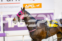 2025_PACEPIX_GP11112025_RACE5_EasternAdvance_WIN_WEB-12