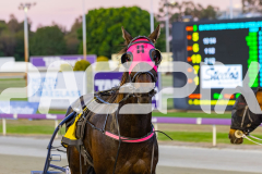 2025_PACEPIX_GP11112025_RACE5_EasternAdvance_WIN_WEB-14