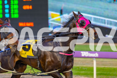 2025_PACEPIX_GP11112025_RACE5_EasternAdvance_WIN_WEB-3