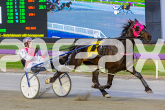 2025_PACEPIX_GP11112025_RACE5_EasternAdvance_WIN_WEB-8