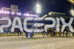 RACE 5 - Fakenit