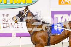 2025_PACEPIX_GP19092025_Race5_Fakenit_WIN_WEB-16