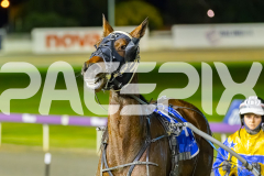 2025_PACEPIX_GP19092025_Race5_Fakenit_WIN_WEB-17