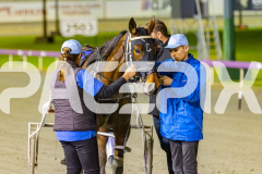 2025_PACEPIX_GP19092025_Race5_Fakenit_WIN_WEB-18