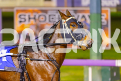 2025_PACEPIX_GP19092025_Race5_Fakenit_WIN_WEB-3