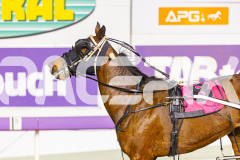 2025_PACEPIX_GP03102025_RACE5_Fakenit_WIN_WEB-22
