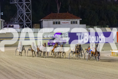 2025_PACEPIX_GP03102025_RACE5_Fakenit_WIN_WEB-7