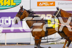 2026_PACEPIX_GP02012026_RACE5_FatLouie_WIN_WEB-15