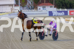 2026_PACEPIX_GP02012026_RACE5_FatLouie_WIN_WEB-16