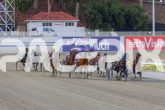 2026_PACEPIX_GP02012026_RACE5_FatLouie_WIN_WEB-2