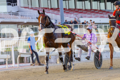 2026_PACEPIX_GP02012026_RACE5_FatLouie_WIN_WEB-20