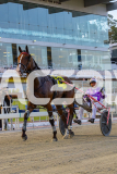 2026_PACEPIX_GP02012026_RACE5_FatLouie_WIN_WEB-21