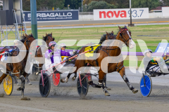 2026_PACEPIX_GP02012026_RACE5_FatLouie_WIN_WEB-4