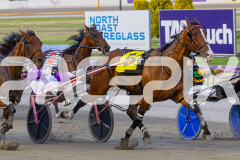 2026_PACEPIX_GP02012026_RACE5_FatLouie_WIN_WEB-5