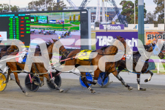 2026_PACEPIX_GP02012026_RACE5_FatLouie_WIN_WEB-6