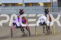 2026_PACEPIX_GP02012026_RACE5_FatLouie_WIN_WEB-8