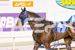 2025_PACEPIX_GP24102025_Race5_FrancoMotu_WIN_WEB-16