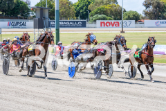 Frisky-Styx_05-11-2025_WIN_Gloucester-Park_5__03