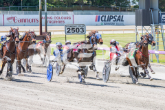 Frisky-Styx_05-11-2025_WIN_Gloucester-Park_5__09